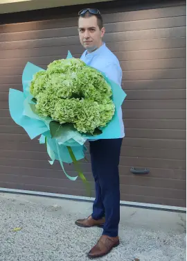 Light green hydrangeas