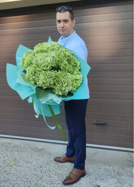 Light green hydrangeas Light green hydrangeas