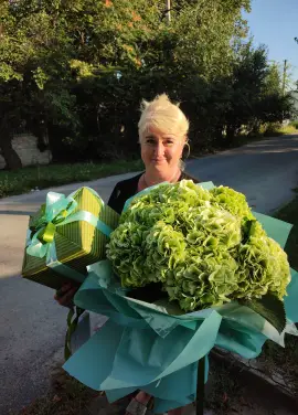 Light green hydrangeas