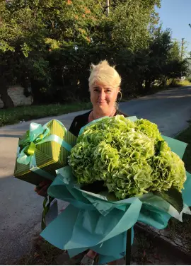 Light green hydrangeas
