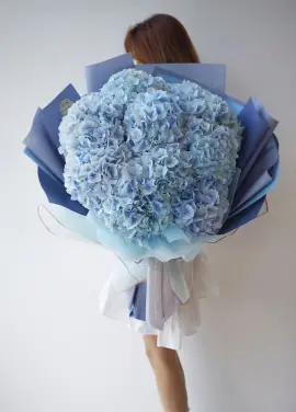Blue hydrangeas