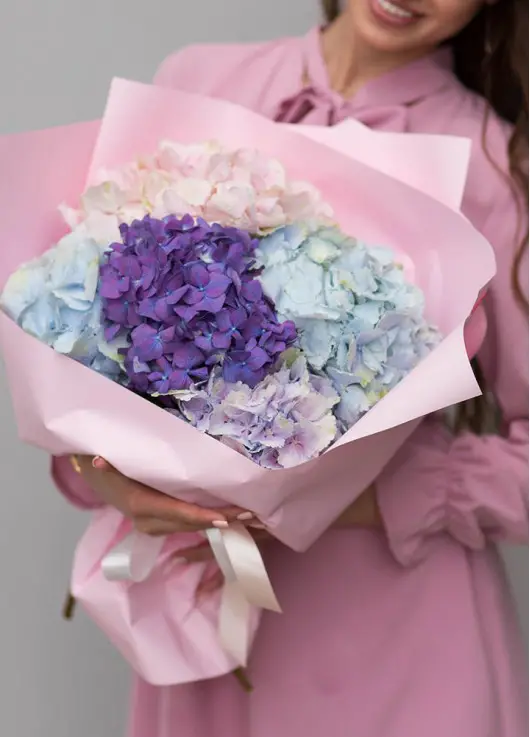 Hydrangea