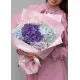 Hydrangea