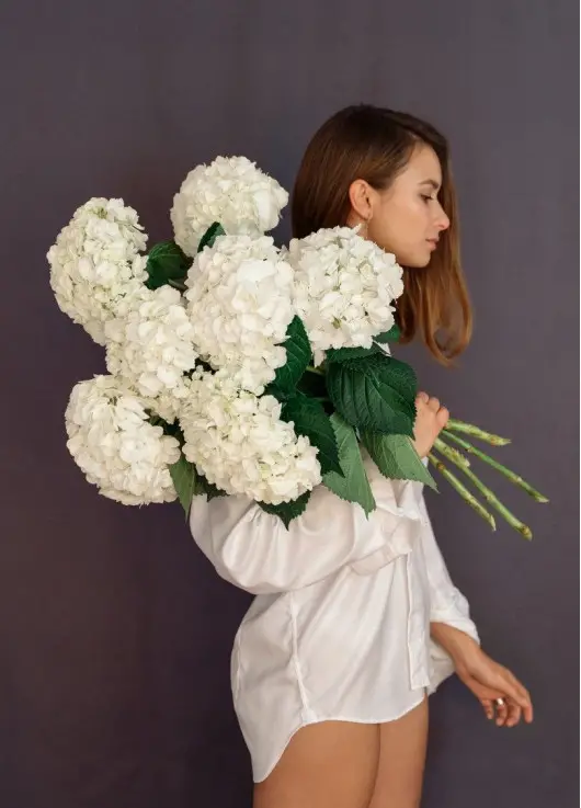 White hydrangeas White hydrangeas