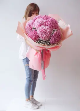 Pink hydrangeas
