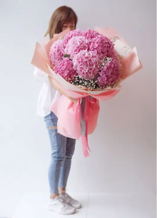 Pink hydrangeas Pink hydrangeas