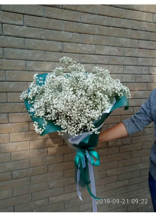 Bouquet of gypsophila