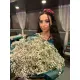 Bouquet of gypsophila