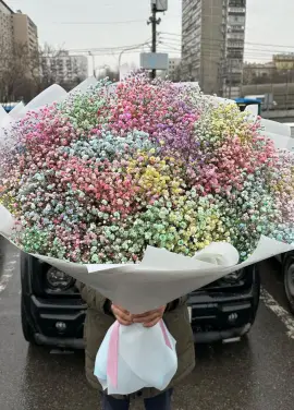 Rainbow: colored gypsophila