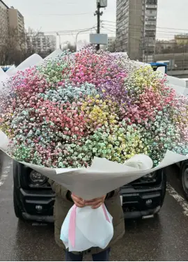 Rainbow: colored gypsophila