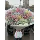 Bouquet of gypsophila