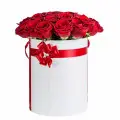 Boxes with roses