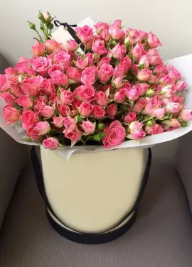 151  Bush roses in a hatbox