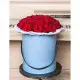 51 roses in a hatbox