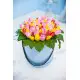 White and pink tulips in a box