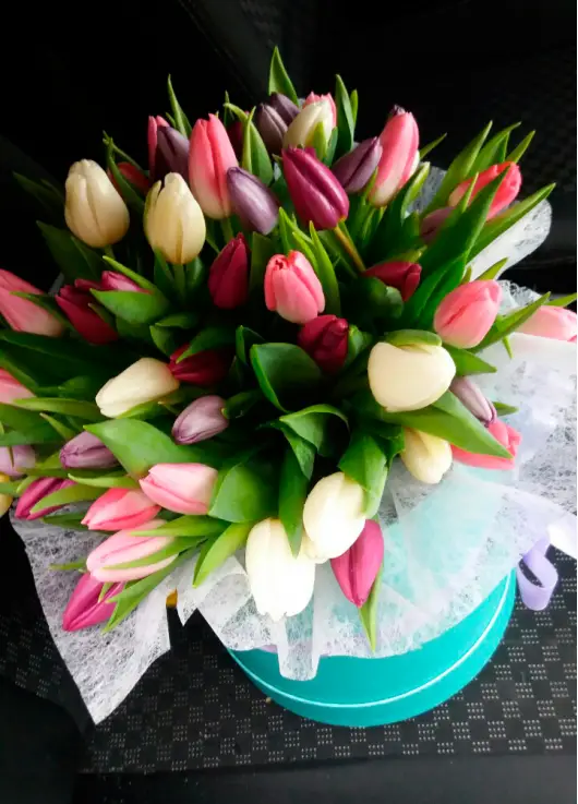 Mix Tulip in a hat box