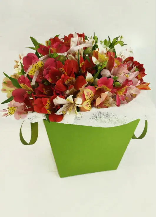 Alstroemeria in a handbag Alstroemeria in a handbag