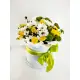 Flower mix in a hat box