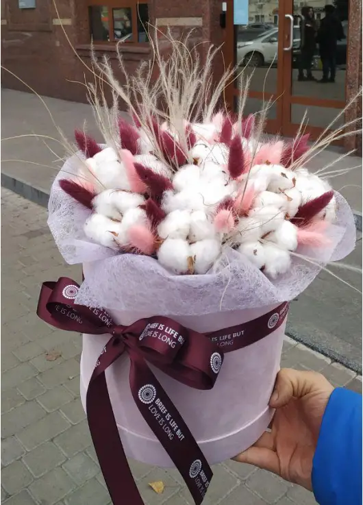 You are my cotton! 