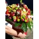 Box Vegetable