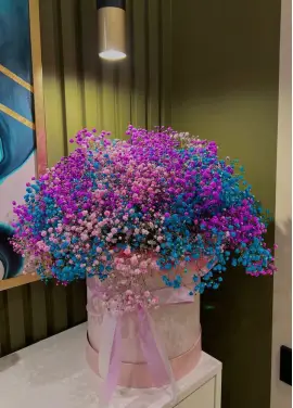 Bouquet of gypsophila in a box in the Dnieper