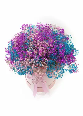 Bouquet of gypsophila in a box in the Dnieper