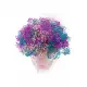 Bouquet of gypsophila in a box in the Dnieper