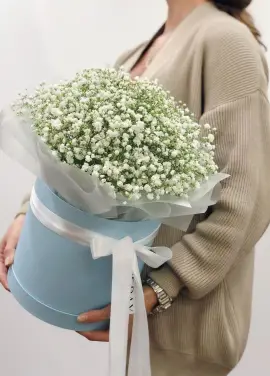 Bouquet of gypsophila in a box in the Dnieper