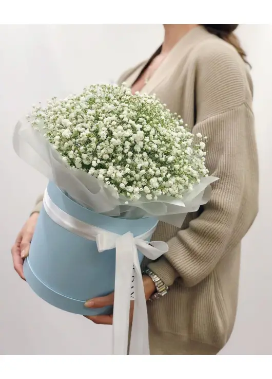 Bouquet of gypsophila in a box in the Dnieper