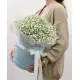 Bouquet of gypsophila in a box in the Dnieper