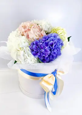 hydrangea in the hatbox