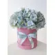 hydrangea in the hatbox hydrangea in the hatbox