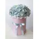 hydrangea in the hatbox hydrangea in the hatbox