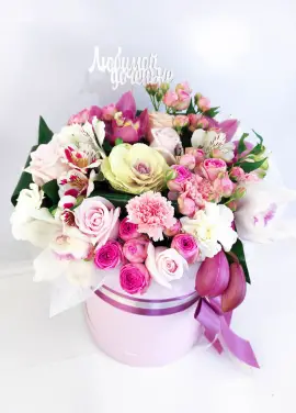 A gentle mix in a hat box