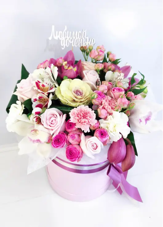 A gentle mix in a hat box