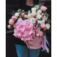 A gentle mix in a hat box