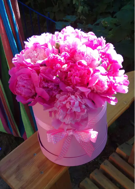 Hat box of peonies Dnipro Hat box of peonies Dnipro