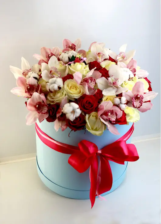 A gentle mix in a hat box