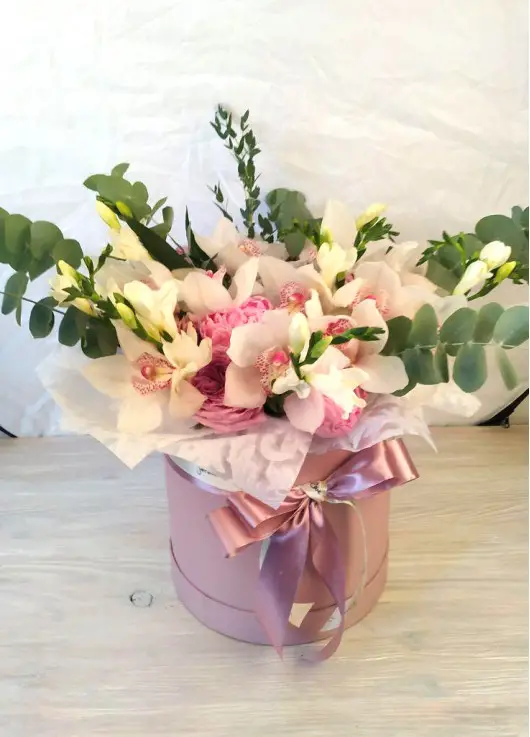 A gentle mix in a hat box