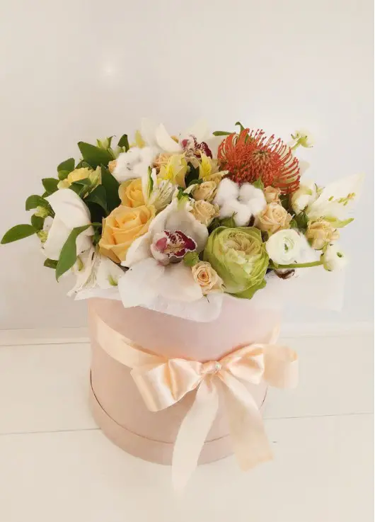 A gentle mix in a hat box