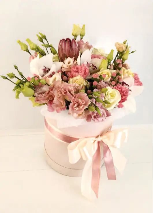 A gentle mix in a hat box