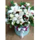 Orchids mix in a hat box Orchids mix in a hat box