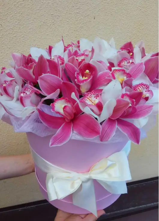 Orchids mix in a hat box Orchids mix in a hat box