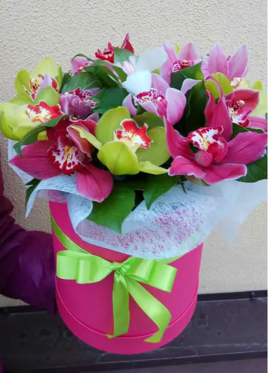 Orchids mix in a hat box Orchids mix in a hat box
