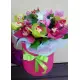 Orchids mix in a hat box Orchids mix in a hat box