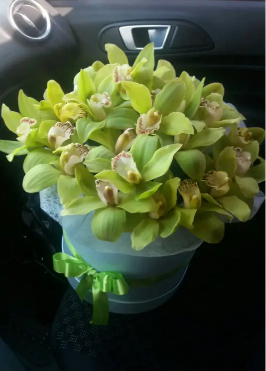 Orchids mix in a hat box Orchids mix in a hat box