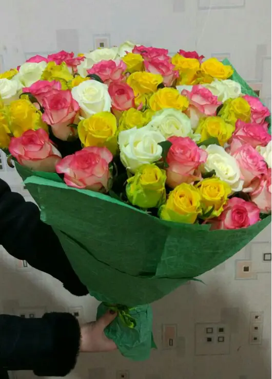 51 multicolored roses