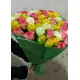 51 multicolored roses