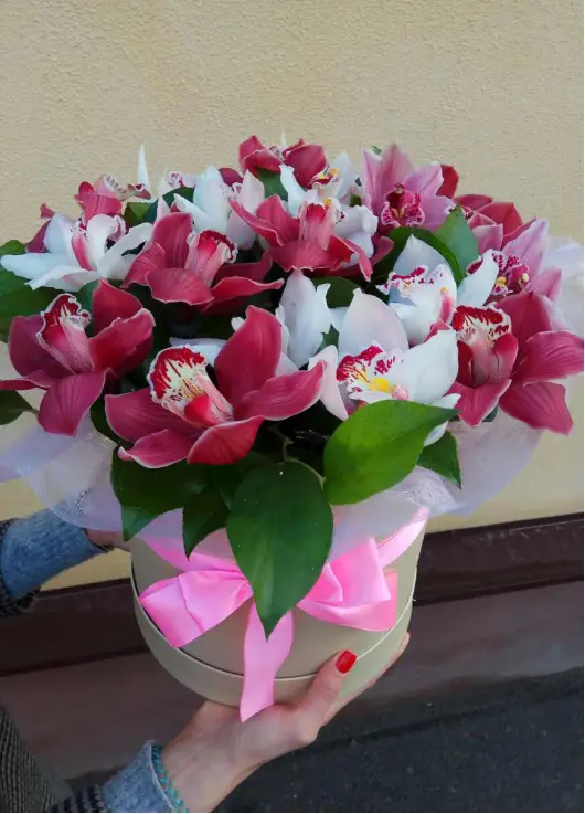 Orchids mix in a hat box Orchids mix in a hat box