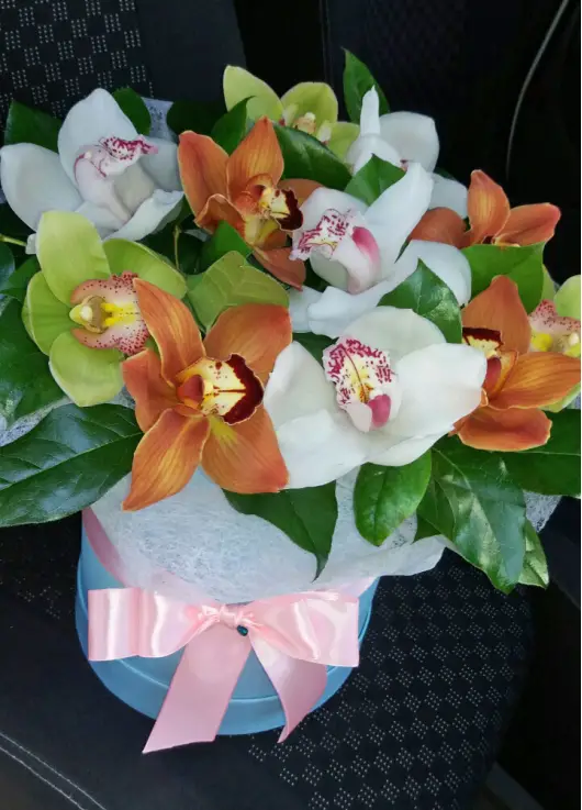 Orchids mix in a hat box Orchids mix in a hat box